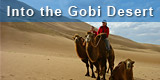 Trips to the Gobi Desert