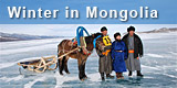 Winter trips to Mongolia